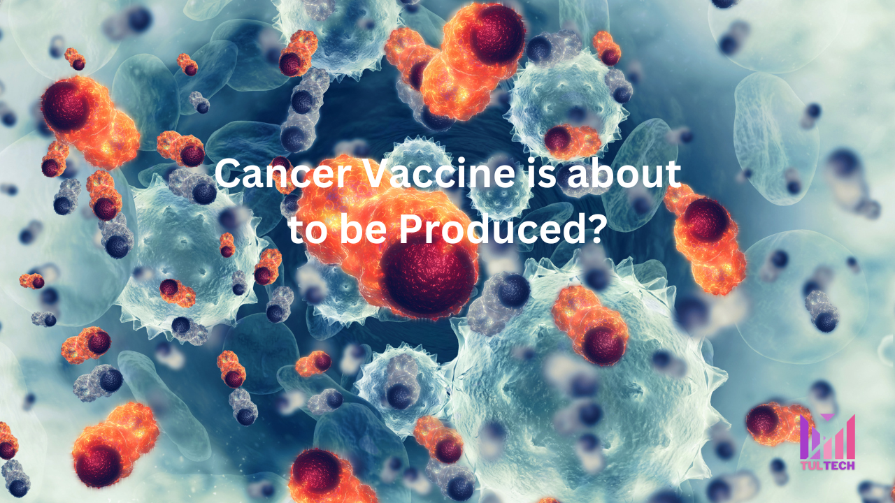 Researchers create a cancer vaccine that will both treat and prevent brain cancer. Researchers create a cancer vaccine that will both treat and prevent brain cancer.