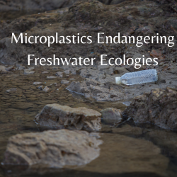 Microplastics contamination in lakes and reservoirs , the subject of a global investigation.