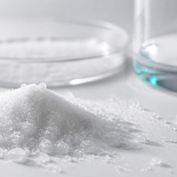 The Sweetener Question: What the Sucralose-DNA Story Actually Shows